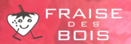 Fraise des bois